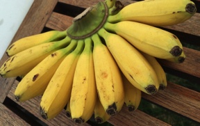 Бананы мини / 0,5 кг